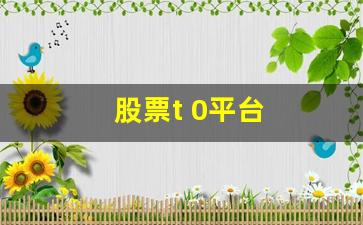 股票t 0平台(t0股票交易平台安全吗)_https://www.wanyuyiyao.com_创业板_第1张